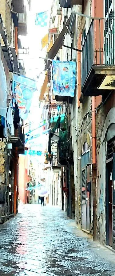 公寓 那不勒斯A' Pupata公寓